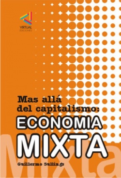 Economia-mixta-300x439.jpg